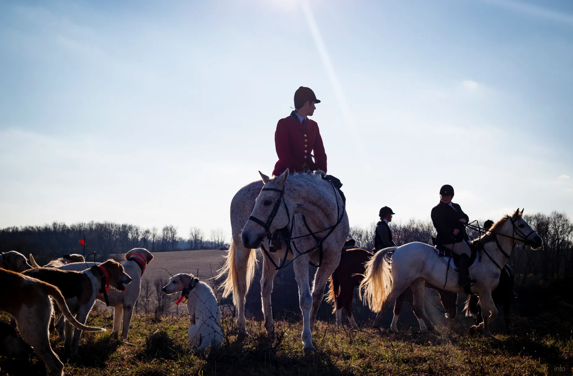 Hearst Awards portfolio submissions from UK students Michael Clubb and Arden Barnes included one from a story about a fox hunting club by Barnes.