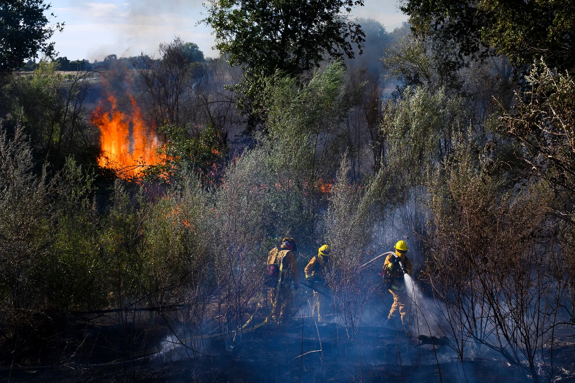 This photo, by Arden Barnes, won 2nd Place Spot News.