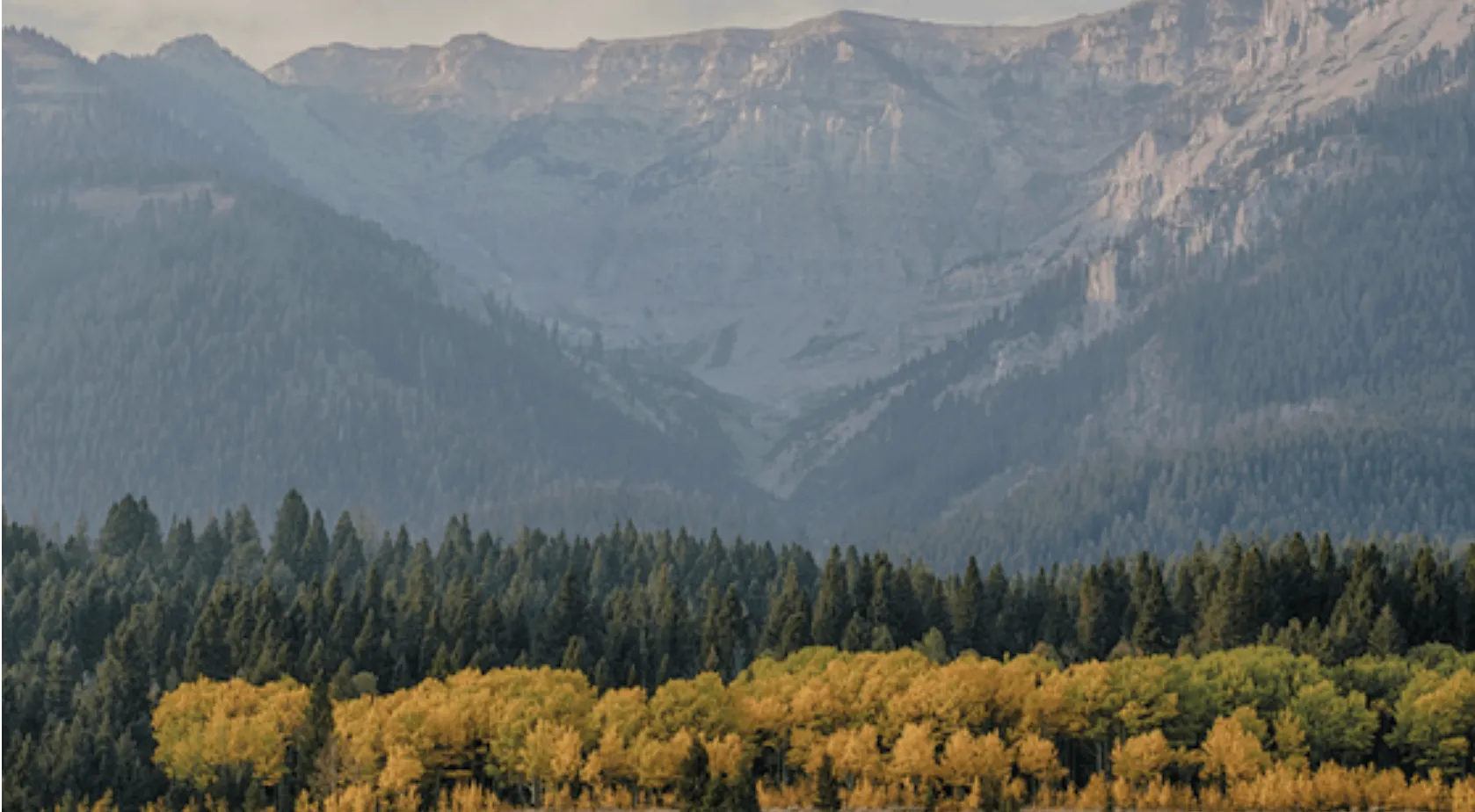 Photo by Bob Wick, Bureau of Land Management via the Montana Free Press