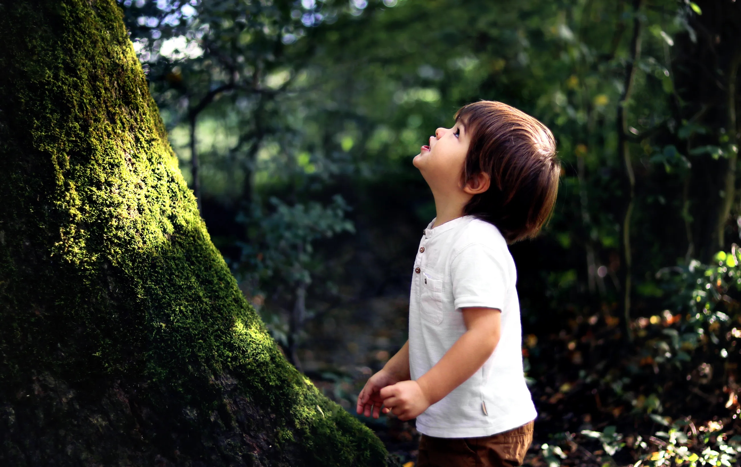 Even visiting a favorite tree can be a source of wonder for children. (Adobe Stock photo)