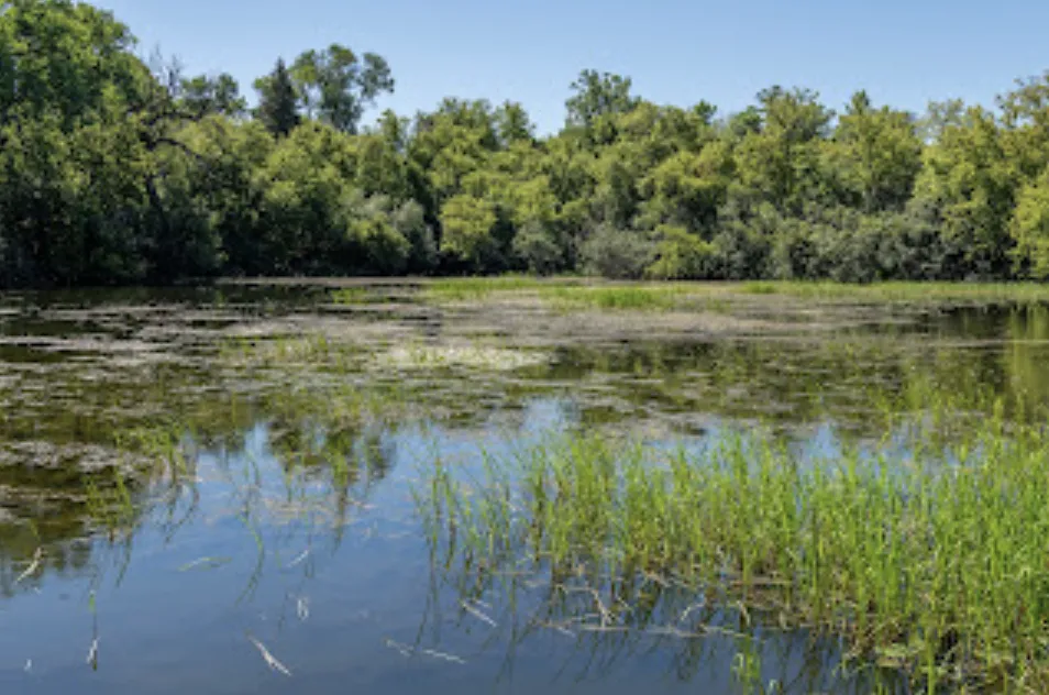 Strategic use of rural land and water bodies could help cool cities. (Adobe Stock photo)