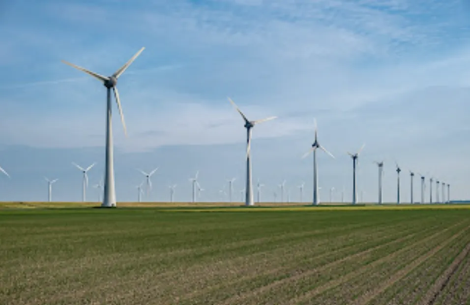 Renewable energy has helped some states meet or exceed energy needs. (Adobe Stock photo)