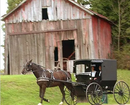 Horse-drawn buggy in rural Holmes County (Wikipedia photo)