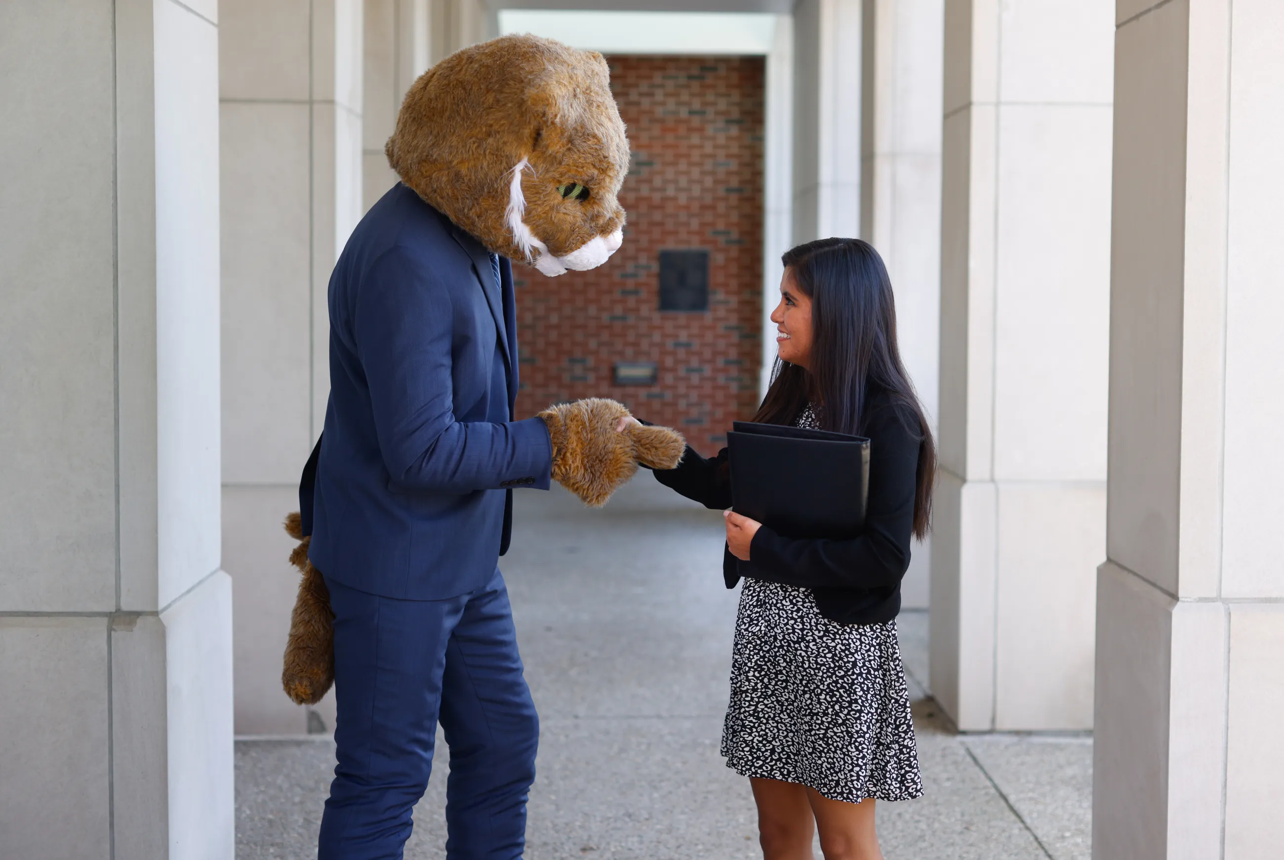 Wildcat Handshake