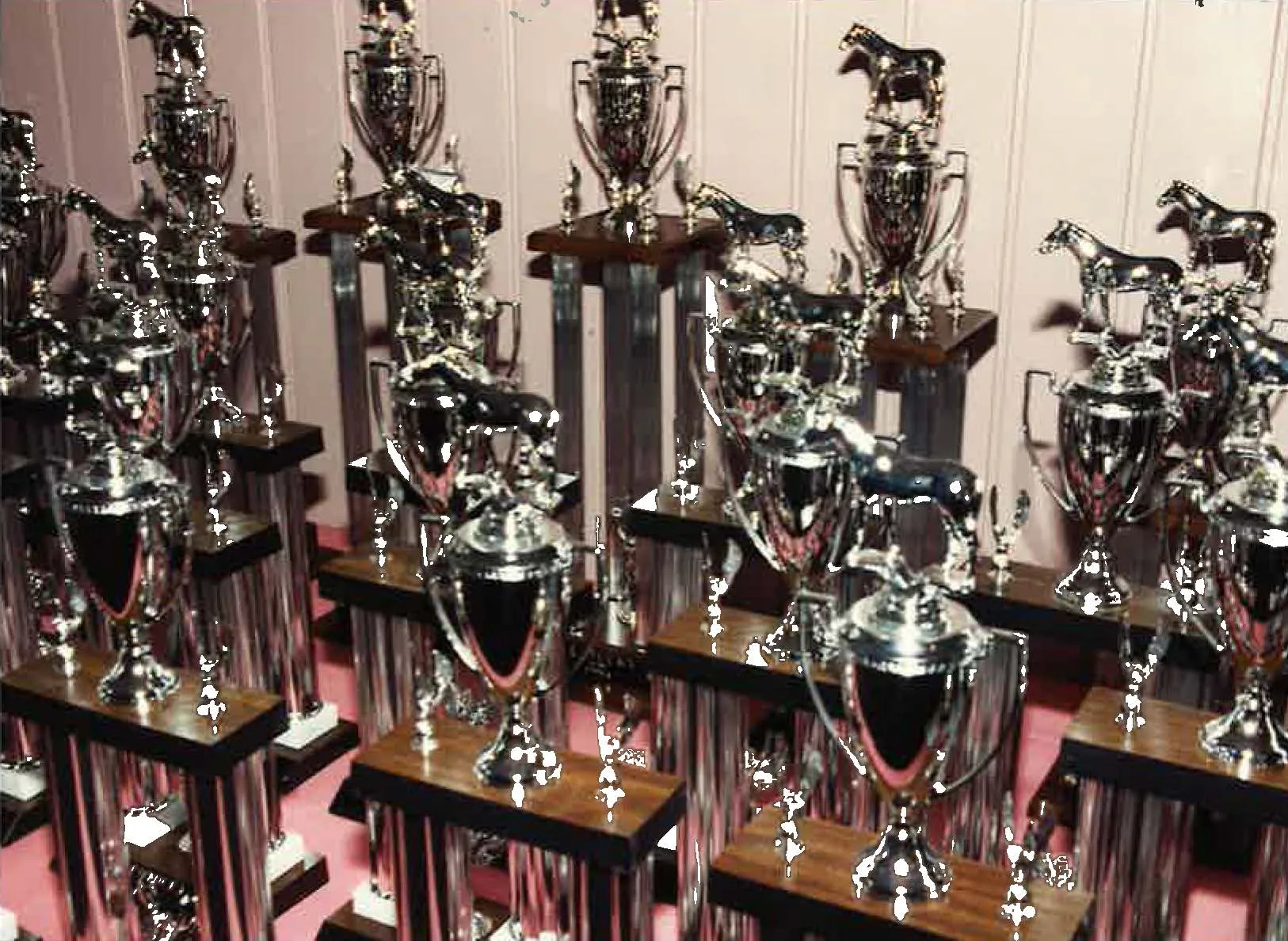 Debate Trophies