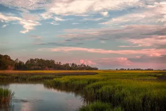 A salt marsh on Sapelo Island, McIntosh County, Georgia. (Adobe Stock photo)