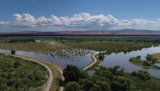 Dos Rios is also a destination for migratory birds along the Pacific flyway. (California State Parks photo)