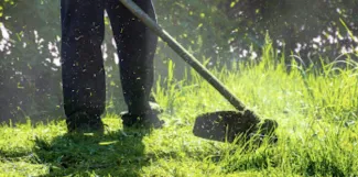 Examining community lawn-care habits can yield rich stories. (Adobe Stock photo)